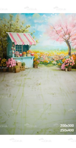 Tło fotograficzne 2770